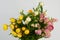 Helichrysum Straw flower bloomingÂ on white background